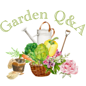 Garden Q&A